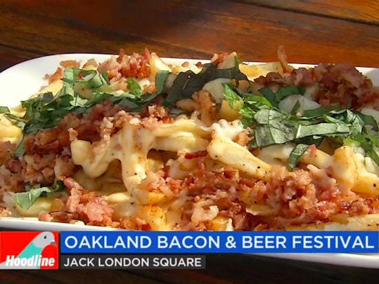 This Weekend: Bacon & Beer Festival, Annual Naked Bike Ride & St. Patrick's Day Celebrations [Video]