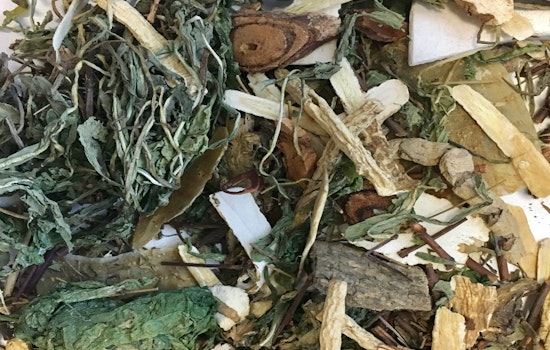 Two San Franciscans In Critical Condition After Consuming Tea Contaminated With Aconite