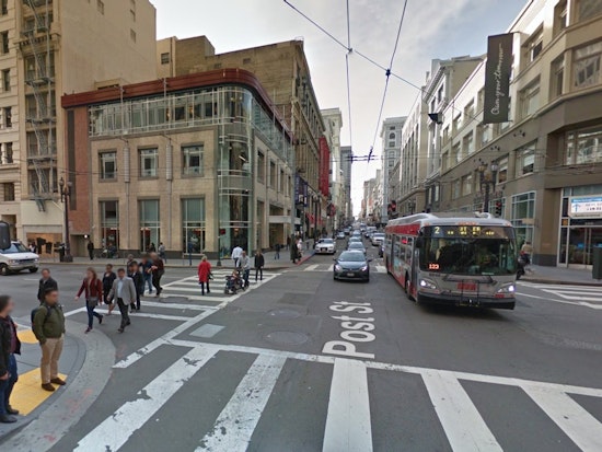 Police Officer Shoots Loose Dog Downtown Saturday