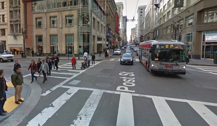 Police Officer Shoots Loose Dog Downtown Saturday