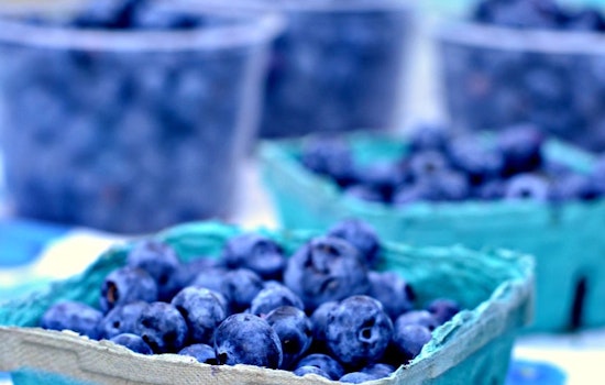 Castro Farmers' Market To Sprout Open This Afternoon