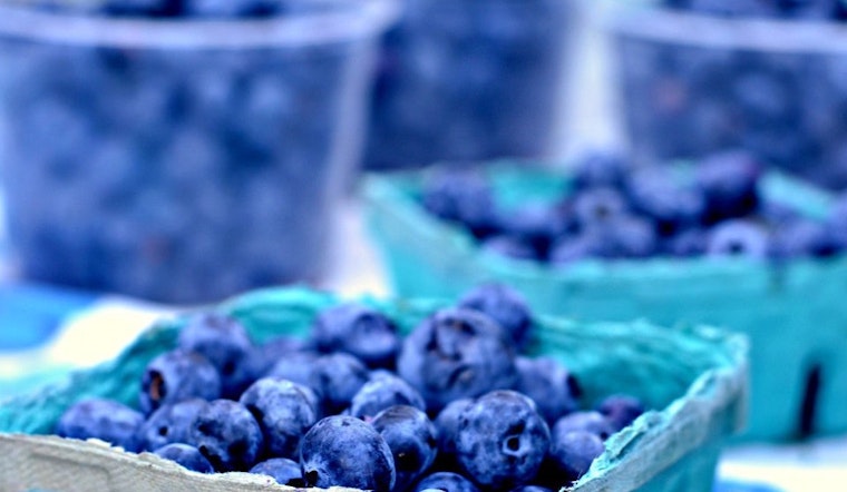 Castro Farmers' Market To Sprout Open This Afternoon