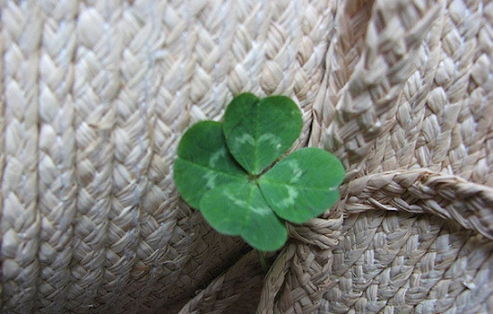 Oakland Go Bragh: Uptown Shamrock Walk, Seniors' Cannabis Meetup, More