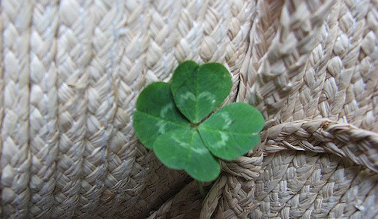 Oakland Go Bragh: Uptown Shamrock Walk, Seniors' Cannabis Meetup, More