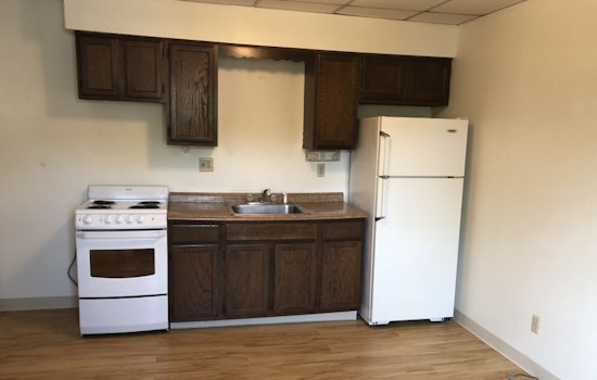 The cheapest apartment rentals in Squirrel Hill South, today