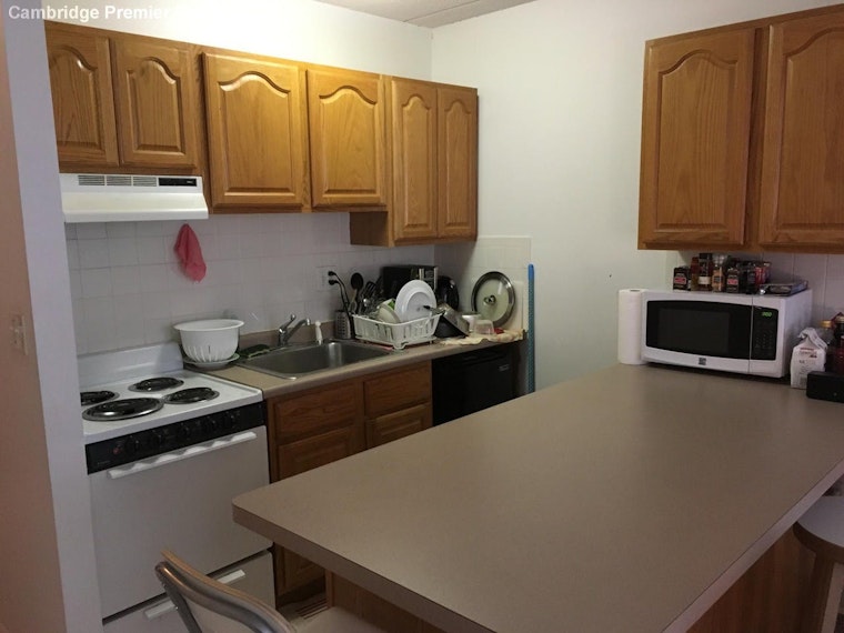 What's the cheapest rental available in Cambridge, right now?