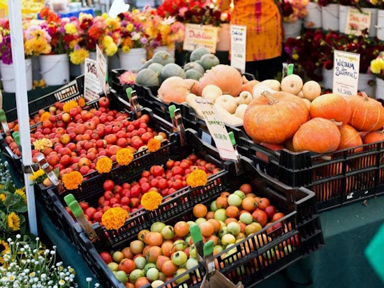 Freshly Oakland: 7 Farmers Markets For Your Daily Dose Of Fruit & Veg