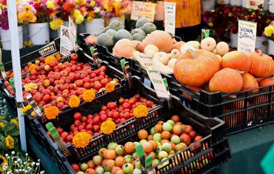 Freshly Oakland: 7 Farmers Markets For Your Daily Dose Of Fruit & Veg
