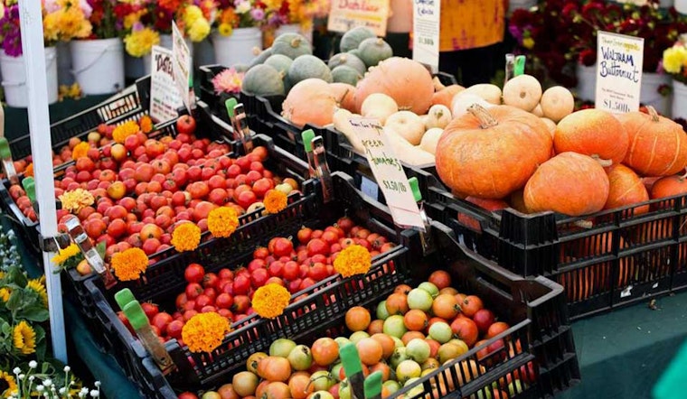 Freshly Oakland: 7 Farmers Markets For Your Daily Dose Of Fruit & Veg