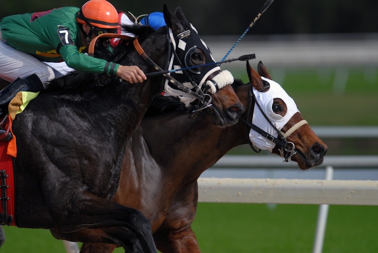 Top sporting events in New Orleans this weekend