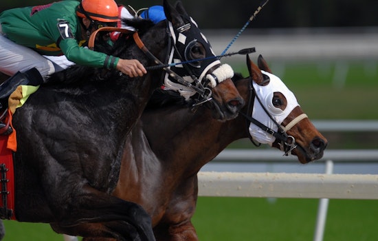 Top sporting events in New Orleans this weekend