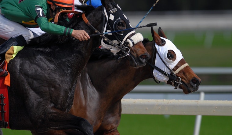 Top sporting events in New Orleans this weekend