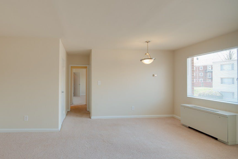 The cheapest apartment rentals in Arlington, explored