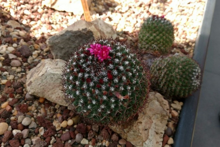 The best charity events in Seattle this week