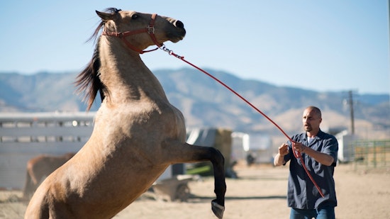 5 notable dramas to check out in El Paso this week