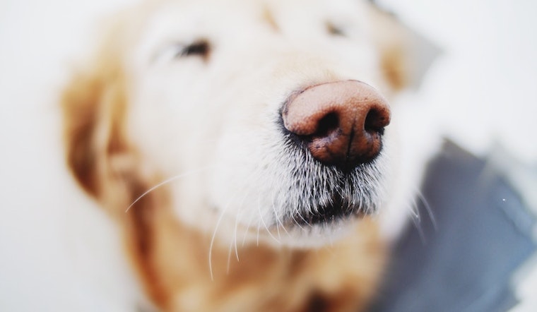 5 ways to make the most of your week in Boston