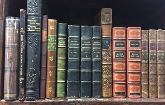 The 5 best bookstores in Boston