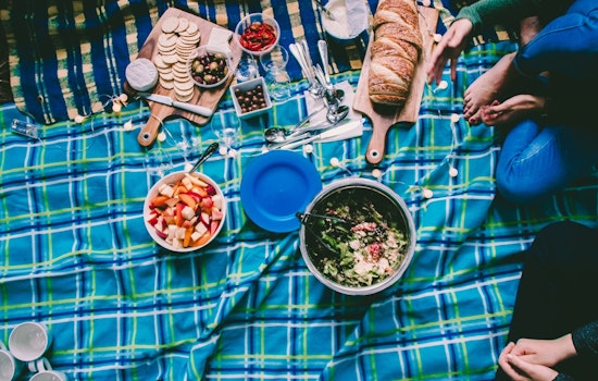 What to do in San Antonio this week, for $15 or less