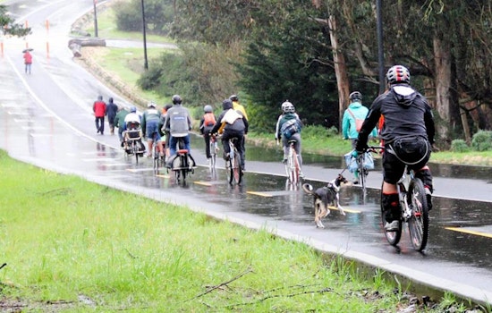 Proposed Speed Limit Decrease Isn't Enough, Say McLaren Park Advocates