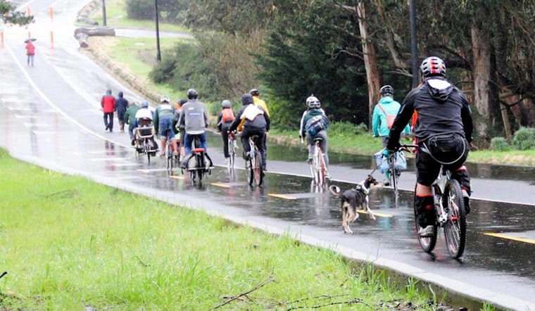 Proposed Speed Limit Decrease Isn't Enough, Say McLaren Park Advocates