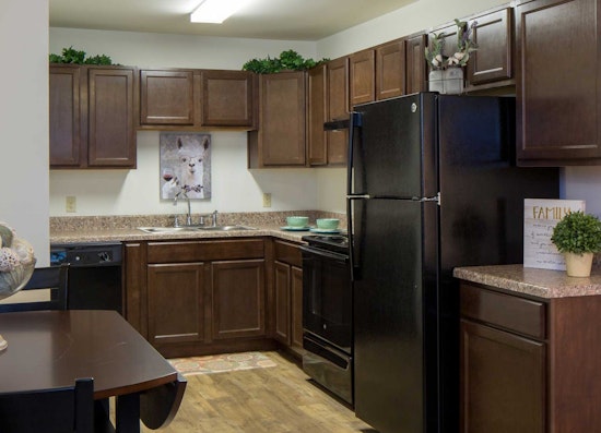 The cheapest apartment rentals in New Orleans, explored