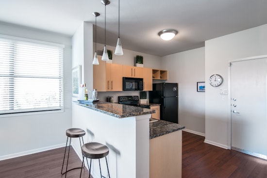 What will $1,000 rent you in Northeast Dallas, today?
