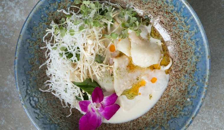 Here are Williamsburg's 5 newest businesses to open