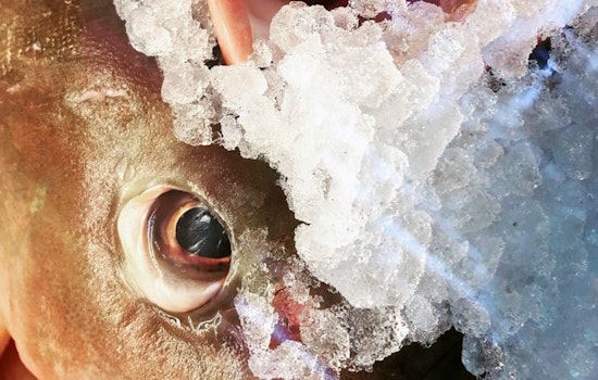 5 top spots for seafood in Indianapolis