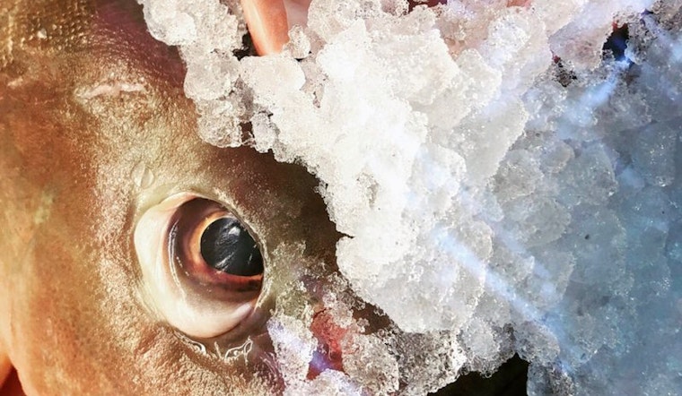 5 top spots for seafood in Indianapolis