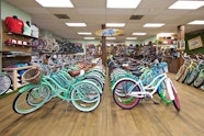 Motorized Bike Shop Near Me Cheapest Selection Save 64 Jlcatj gob mx