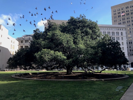 PIC Oakland Photo Contest Is Accepting Entries Through April 30