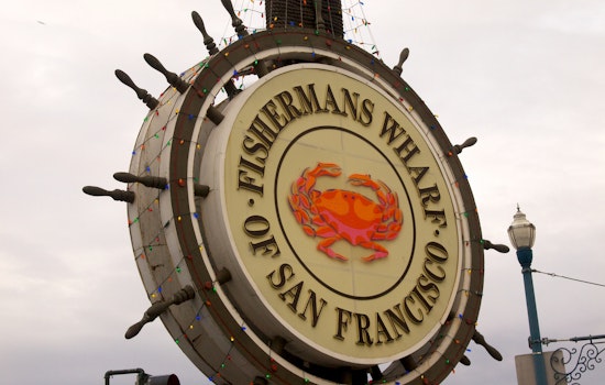 Police Recover Family Member's Ashes Stolen From Wharf Tourists' Rental Car