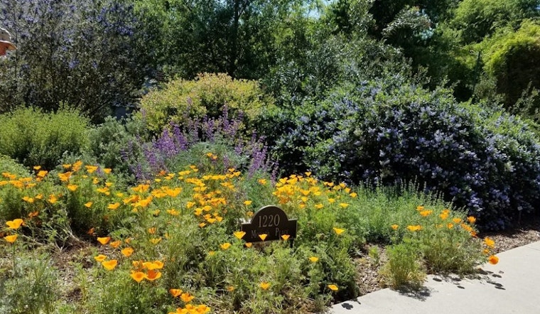 Meditation, garden tours and more to do in Los Angeles this week