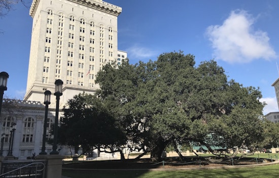 City Council Committee To Vote Tuesday On $100K Appropriation For Public Bank Study