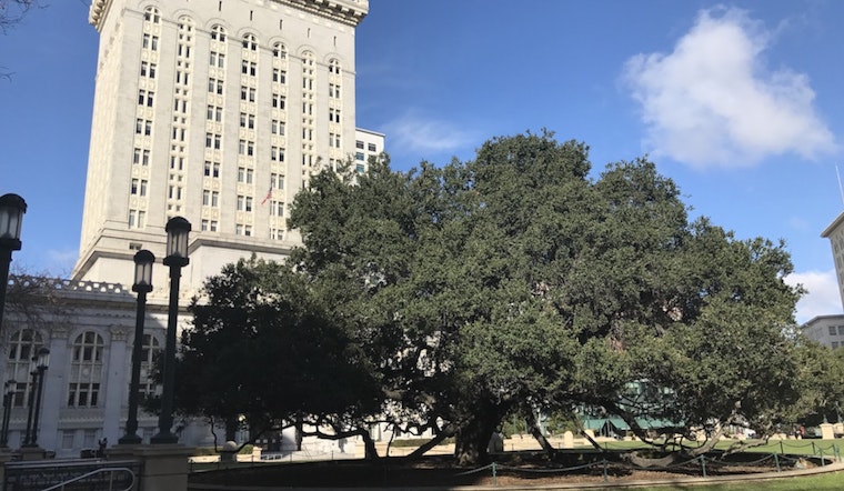 City Council Committee To Vote Tuesday On $100K Appropriation For Public Bank Study