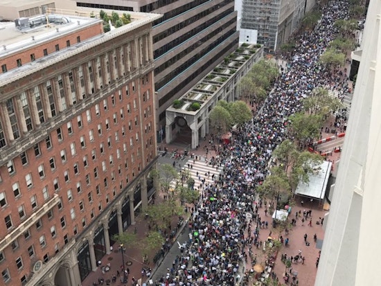 Grab 'Em By The Data: The Best Signs From SF's March For Science