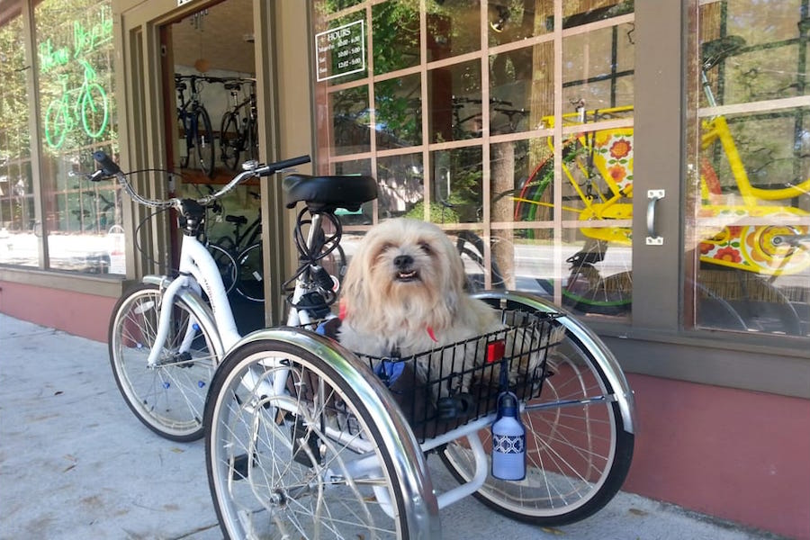 Atlanta's top 5 bike shops to visit now