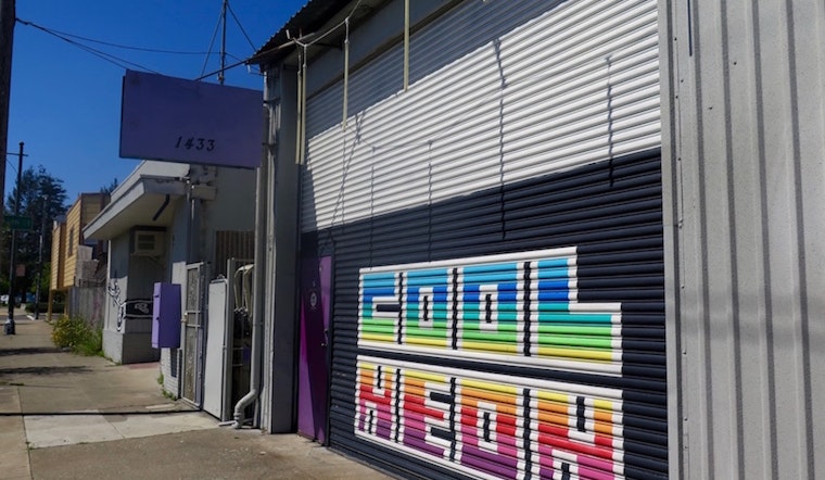 'Cool Neon Funhouse Creations' Owner: 'There Is No Other Store Like This In The World'