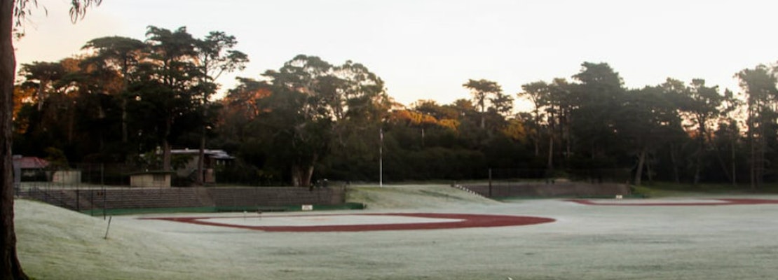 Body Discovered Near Big Rec Field In Golden Gate Park This Morning