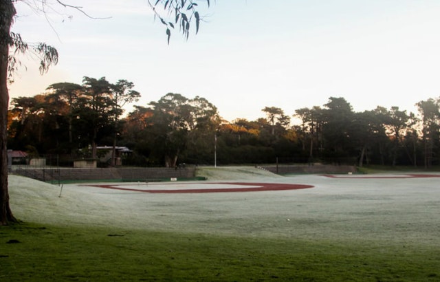 Body Discovered Near Big Rec Field In Golden Gate Park This Morning