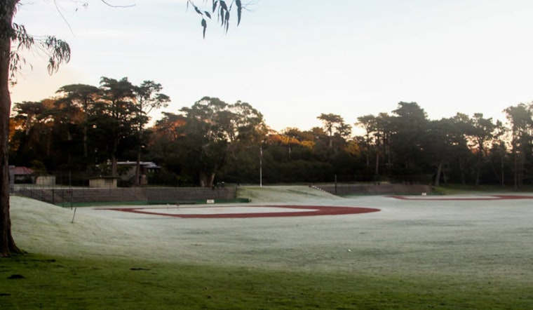 Body Discovered Near Big Rec Field In Golden Gate Park This Morning