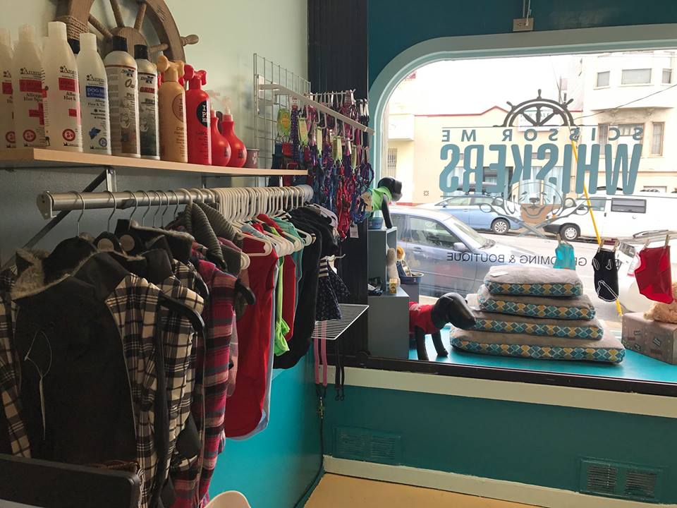 New Dog Groomer 'Scissor Me Whiskers' Now Open In The Outer Richmond