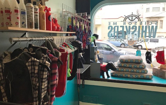 New Dog Groomer 'Scissor Me Whiskers' Now Open In The Outer Richmond