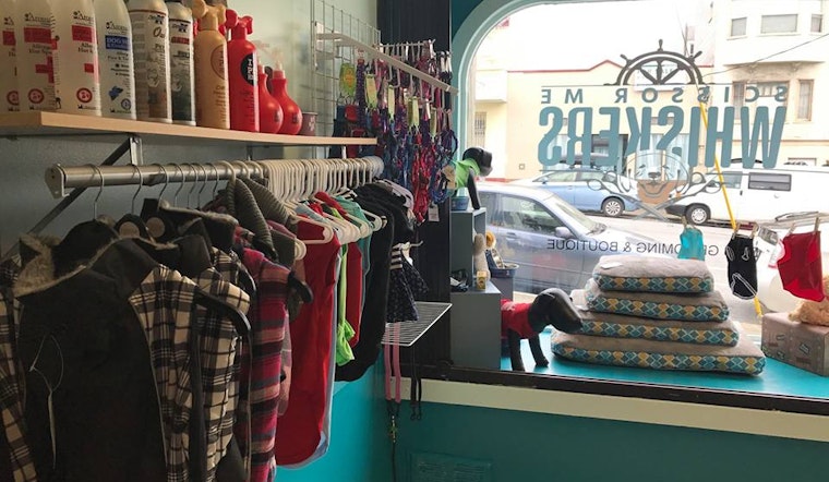 New Dog Groomer 'Scissor Me Whiskers' Now Open In The Outer Richmond