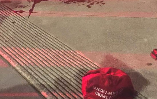 Police arrest 'MAGA' hat-wearing suspect in Lower Haight sword attack