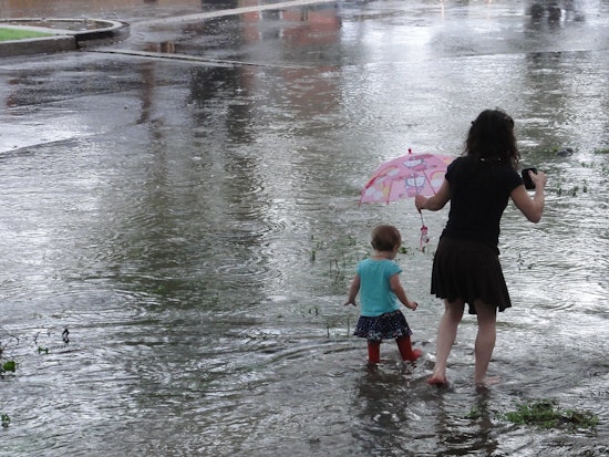 Top New Orleans news: Dog shelter floods, drainage pumps lose power after Thursday's storms