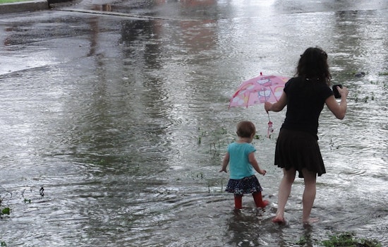 Top New Orleans news: Dog shelter floods, drainage pumps lose power after Thursday's storms