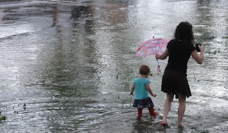 Top New Orleans news: Dog shelter floods, drainage pumps lose power after Thursday's storms
