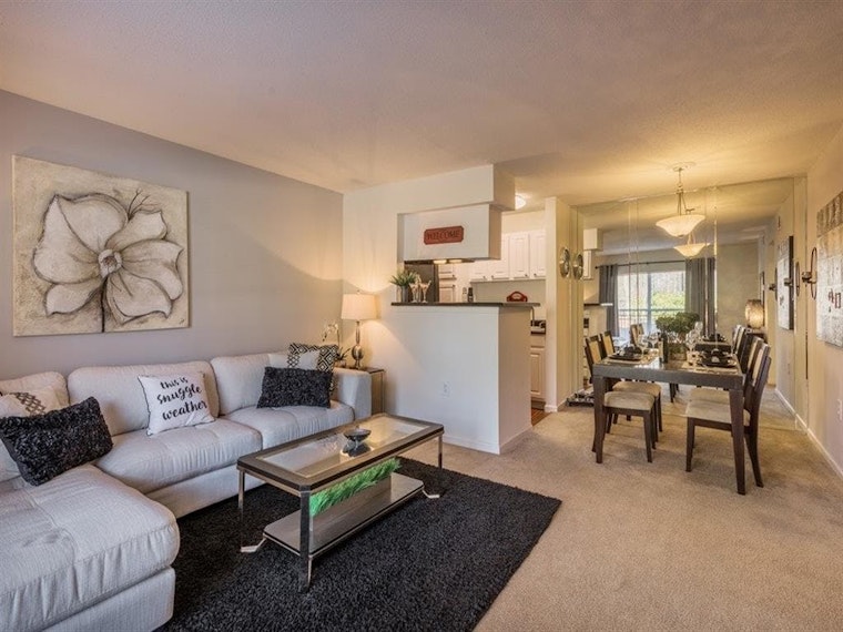 What will $800 rent you in Charlotte, today?