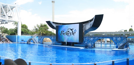 Top Orlando news: Whale rescued from stranding dies at SeaWorld; 'cat lover' pulls gun on woman